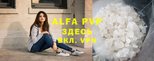стафф Алексин