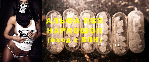 стафф Алексин