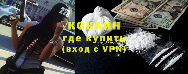 стафф Алексин