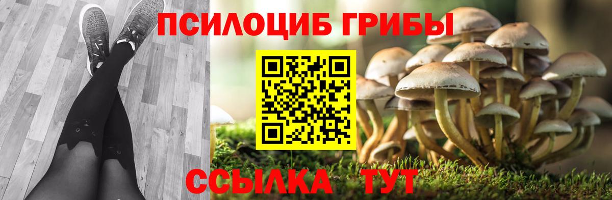 Красноуфимск  Псилоцибиновые грибы Psilocybine cubensis  Вход с VPN 
